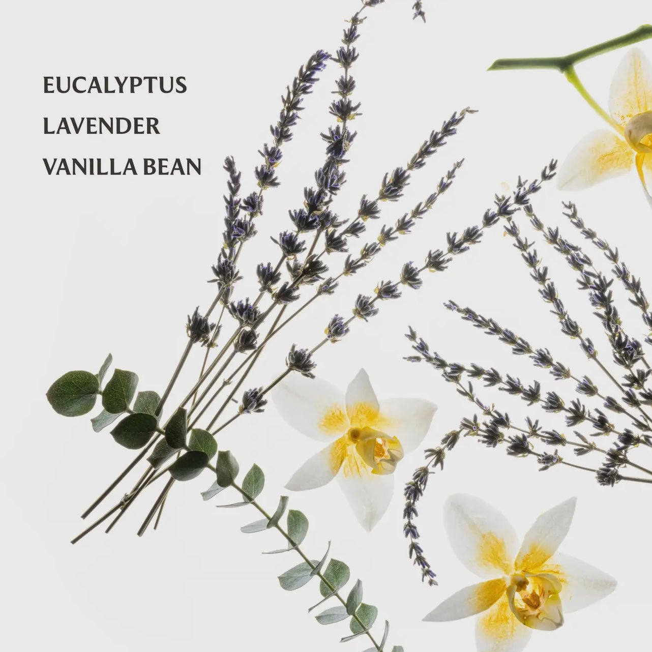 Touchland Pure Lavender