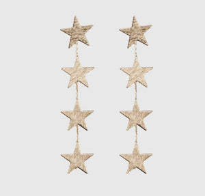 Star Drop Earring