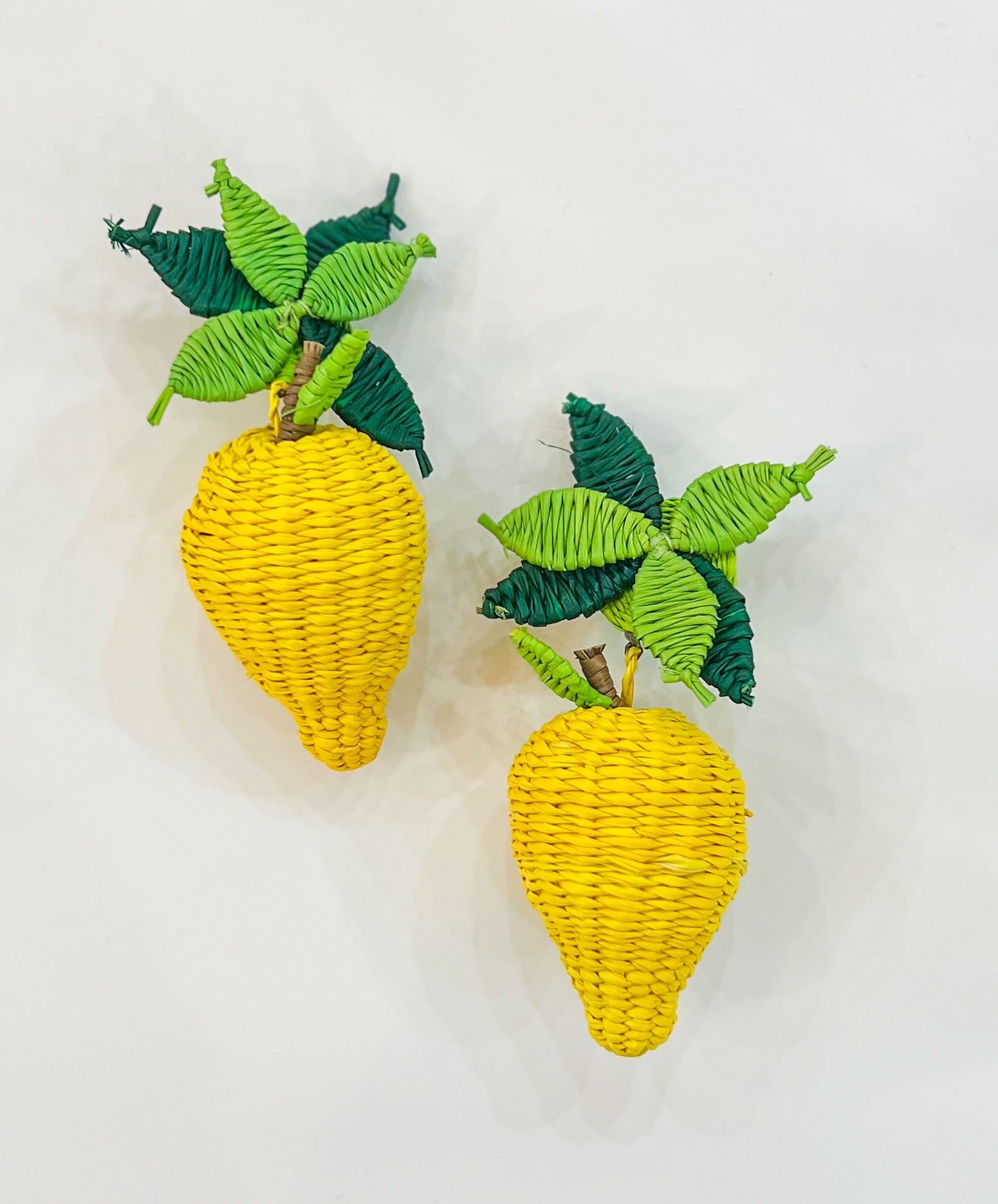 Large Frutas Earrings