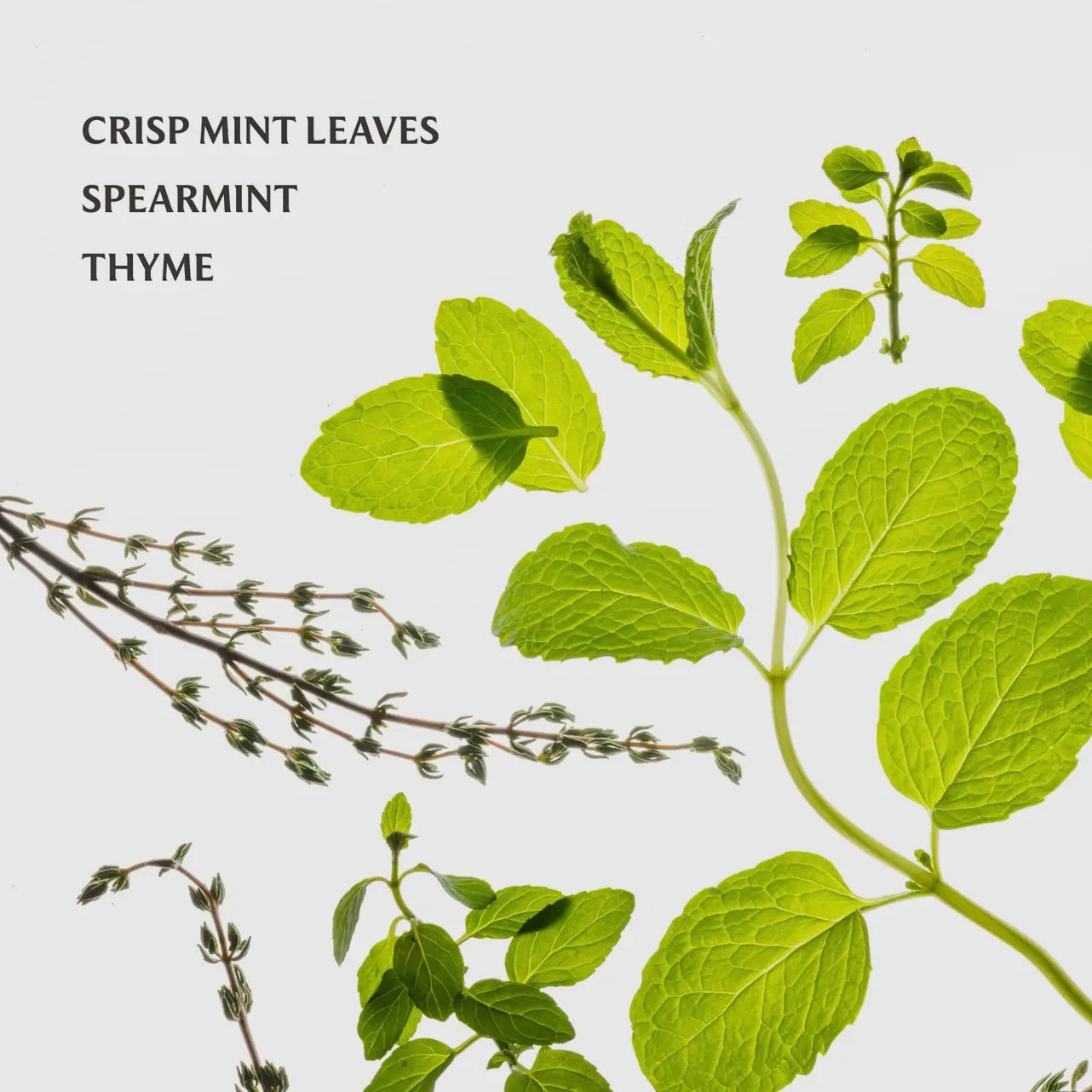 Touchland Frosted Mint