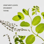 Load image into Gallery viewer, Touchland Frosted Mint
