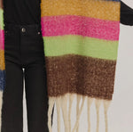 Load image into Gallery viewer, Multi Colored Striped Winter Scarf
