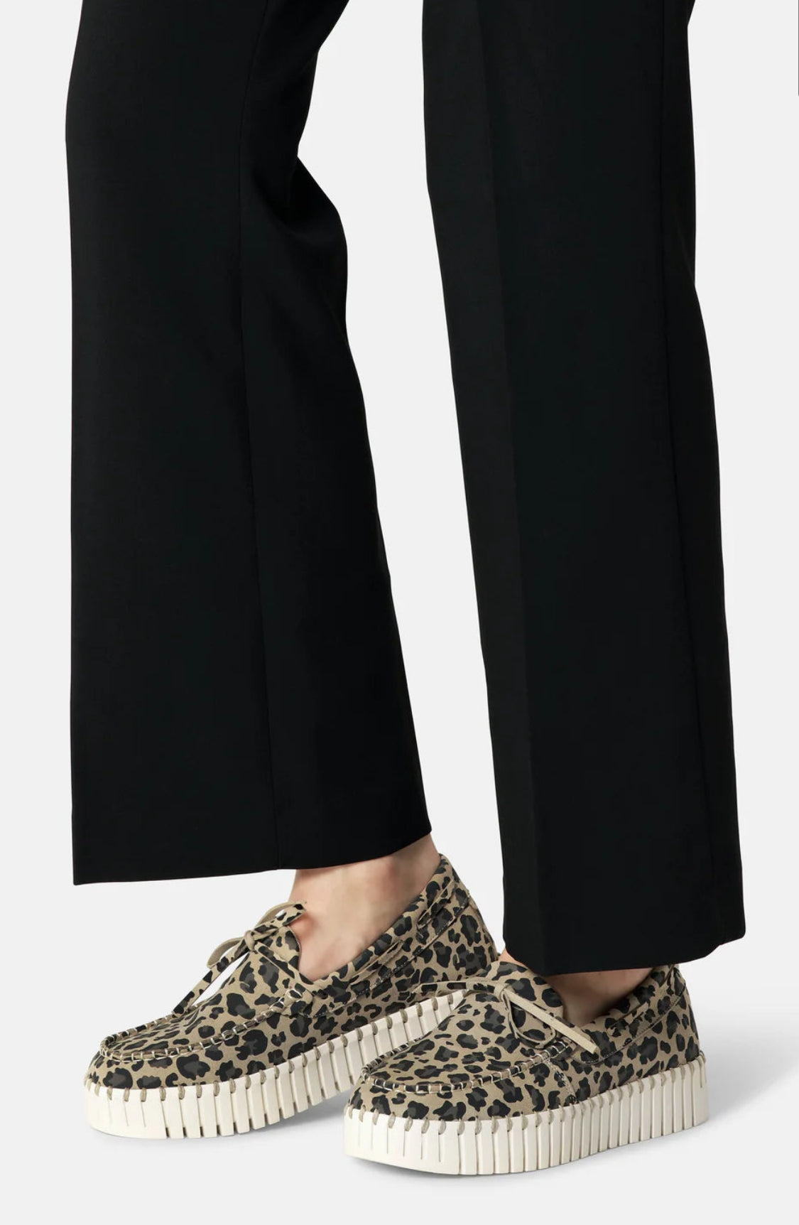 Tulip Leopard