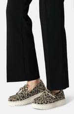 Load image into Gallery viewer, Tulip Leopard
