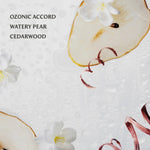 Load image into Gallery viewer, Touchland Rainwater
