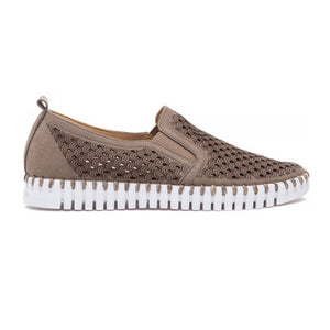 Tulip Loafer Grey