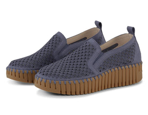 Tulip 4078 Blue
