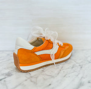 B.NTCD Orange